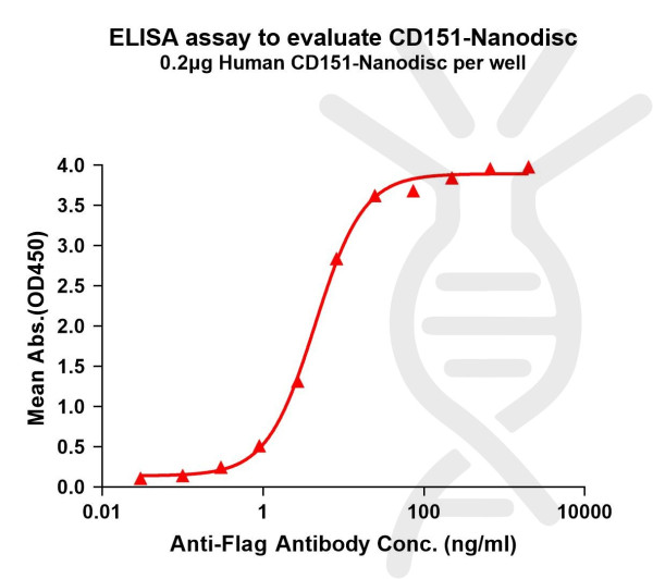 CD151 (human) full length protein-synthetic nanodisc