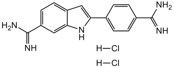 DAPI . dihydrochloride