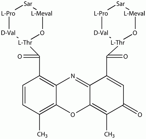 Actinomycin / Dactinomycin