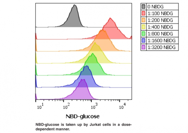 Glucose Uptake Cell-Based Assay Kit