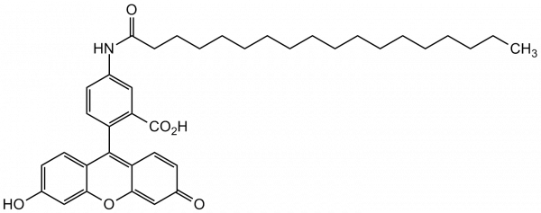 5-(Octadecanoylamino)fluorescein