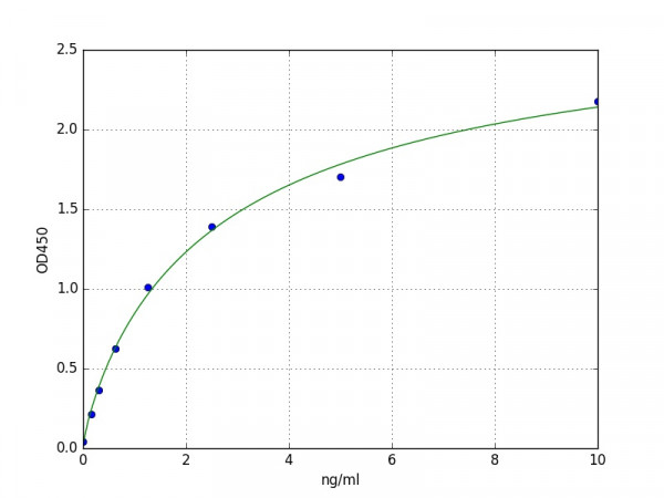 Mouse Cathepsin S / CTSS ELISA Kit