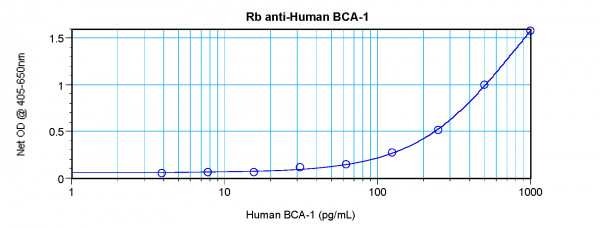 Anti-CXCL13 / BCA1