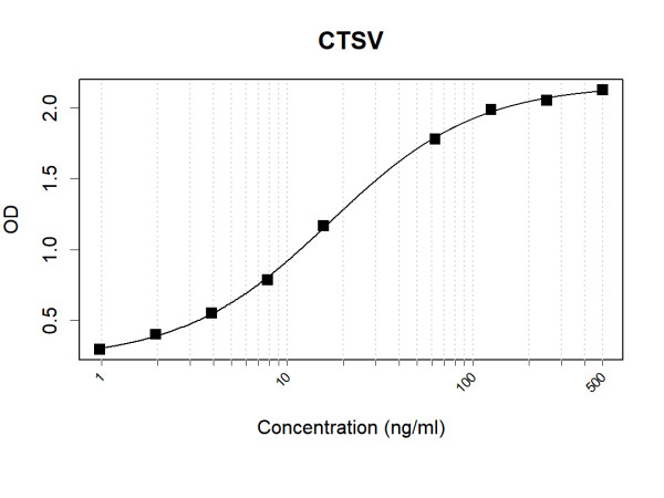 Anti-Human CTSV Antibody Pair