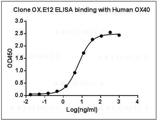 Anti-Mouse Monoclonal Antibody to Human OX40 (Clone: OX.E12)