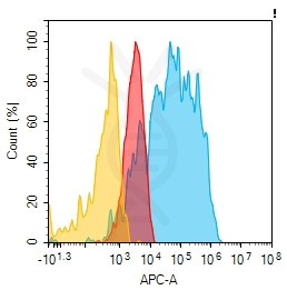 Anti-PTPRG, clone 10G10, IgG1 Chimeric mAb