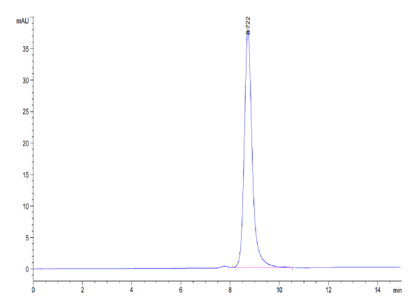 Human B2M/beta 2-Microglobulin Protein