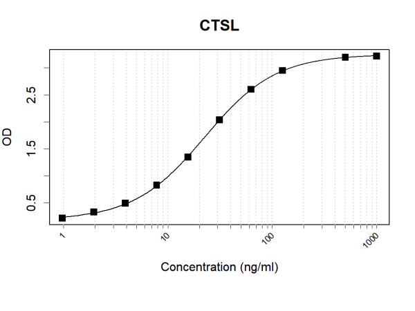Anti-Human CTSL Antibody Pair