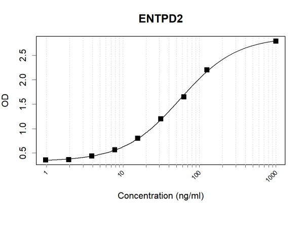 Anti-Human ENTPD2 Antibody Pair