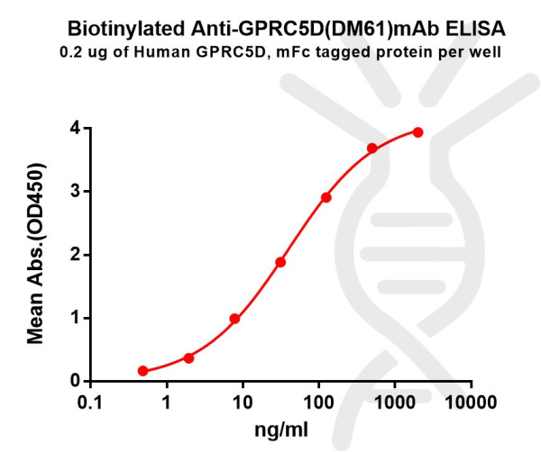 Biotinylated Anti-GPRC5D antibody(DM61), Rabbit mAb