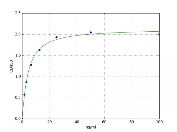 Human Syndecan 4 / SDC4 ELISA Kit