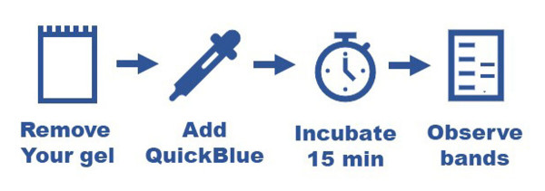 QuickBlue Protein Stain, 1 Liter, 40 mini-gels