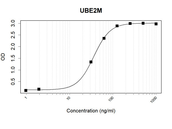 Anti-Human UBE2M Antibody Pair