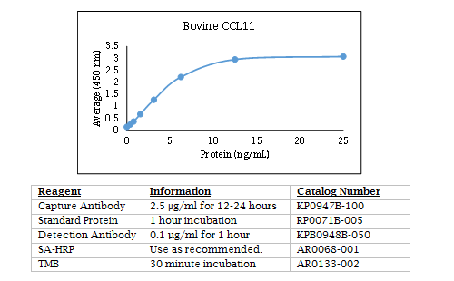 Anti-CCL11 (Eotaxin) (bovine), Biotin conjugated