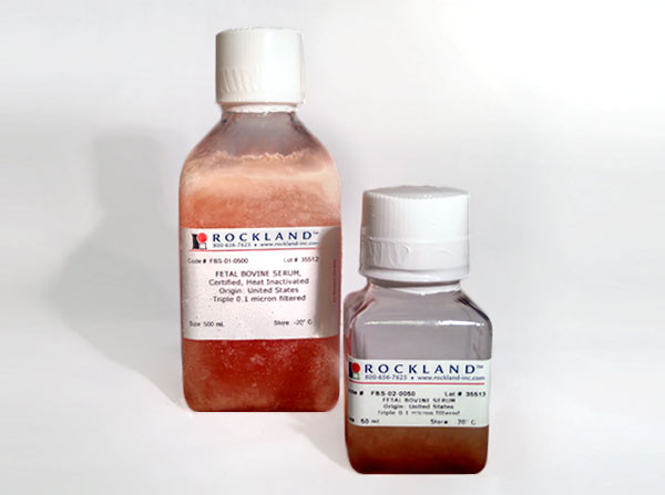 Fetal Bovine Serum