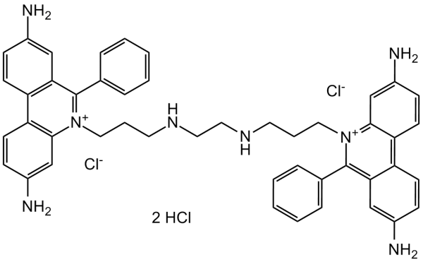 Ethidium homodimer