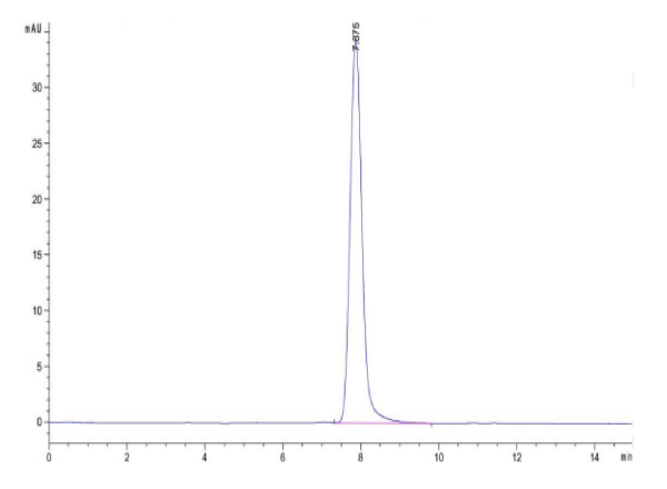 Human AXL Protein