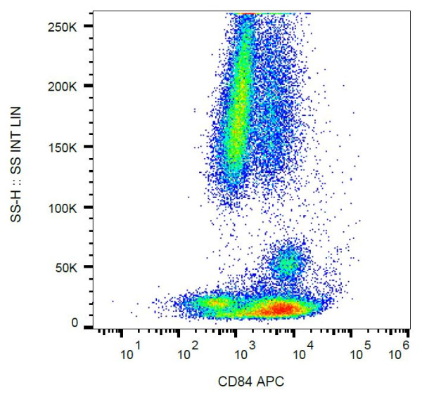 Anti-CD84, clone CD84.1.21 (APC)