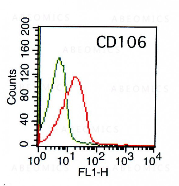 Anti-Human CD106 (Clone: BK9)