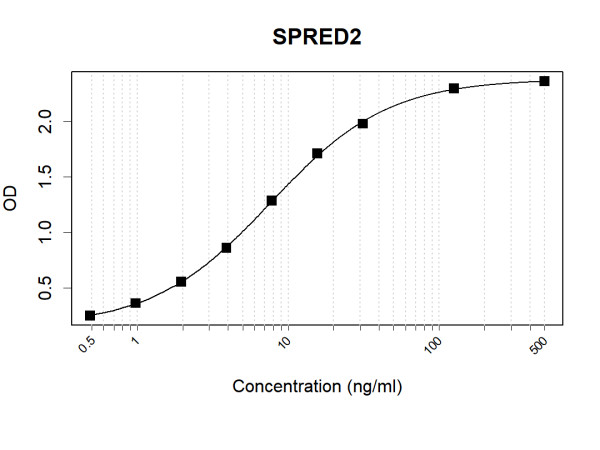 Anti-Human SPRED2 Antibody Pair