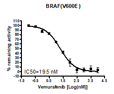 B-Raf(V600E) Kinase Assay Kit