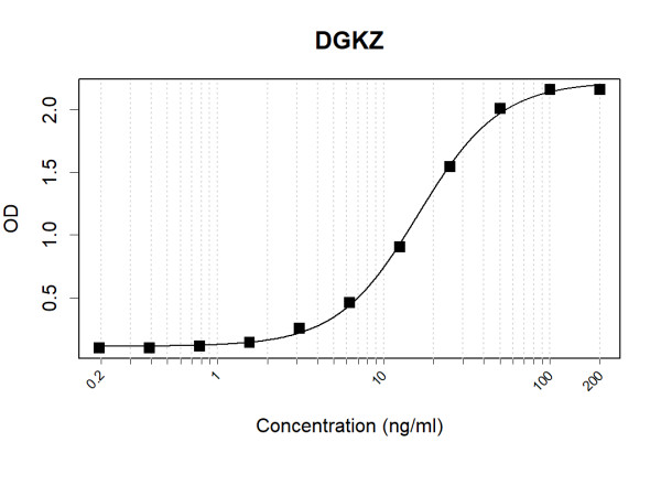 Anti-Human DGKZ Antibody Pair