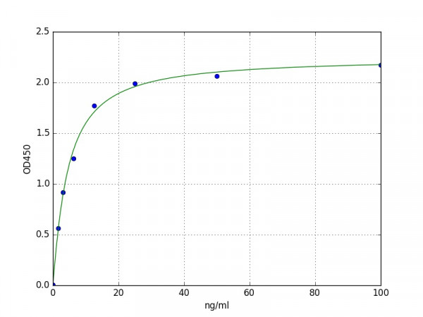 Human Tenascin X / TNXB ELISA Kit
