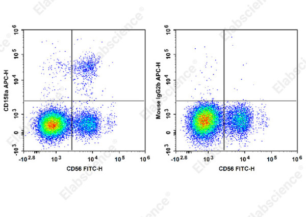 Anti-CD158/KIR2DL1, clone HP-MA4, APC conjugated