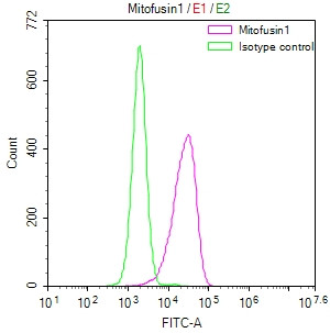 Anti-MFN1 Recombinant Monoclonal, clone 11G8
