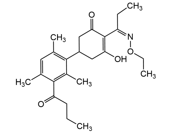 Butroxydim Solution