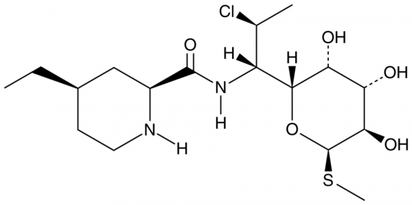 Pirlimycin