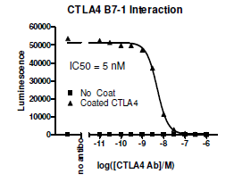 Anti-CTLA4 Neutralizing Antibody
