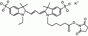 Cyanine 3 monosuccinimidyl este, potassium salt [same to GE Cy3(R) NHS ester]