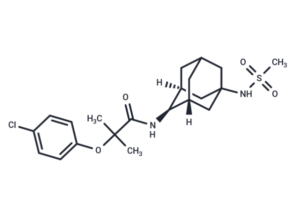 JNJ 303