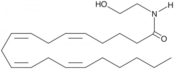 Arachidonoyl Ethanolamide