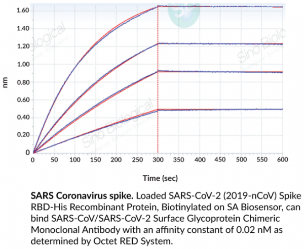 Anti-SARS-CoV/SARS-CoV-2 Spike Glycoprotein RBD Chimeric Monoclonal Antibody (Clone D005)