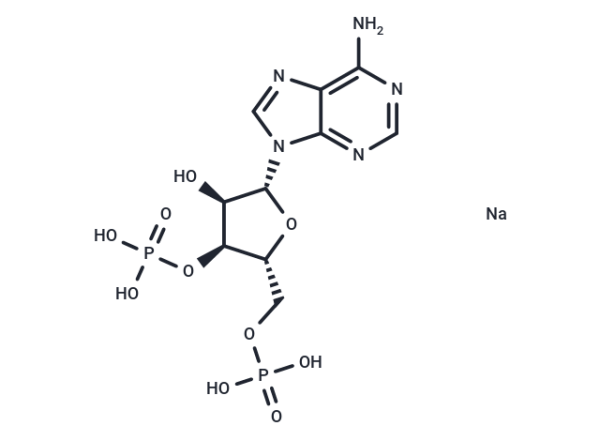 Adenosine 3',5'-diphosphate sodium salt