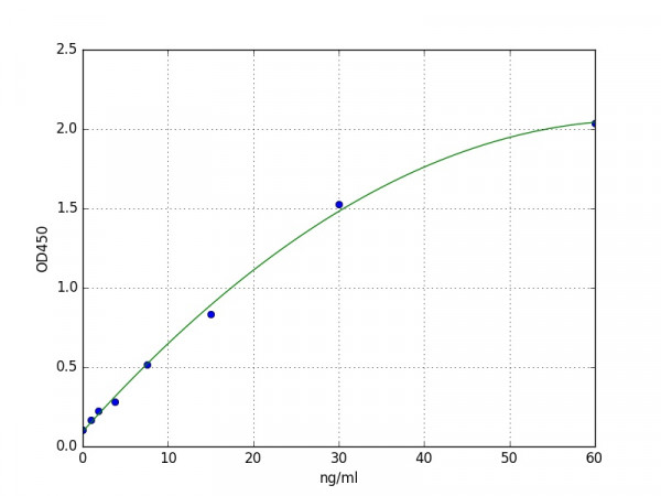 Human PLA2G2A / MOM1 / Phospholipase A2, membrane associated ELISA Kit