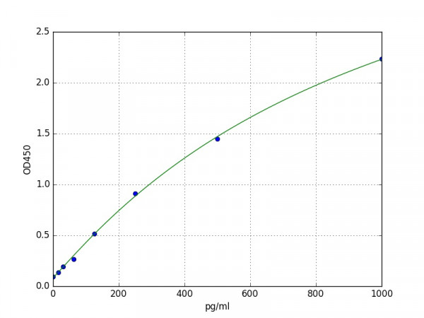 Human CK13 / KRT13 / Cytokeratin 13 ELISA Kit