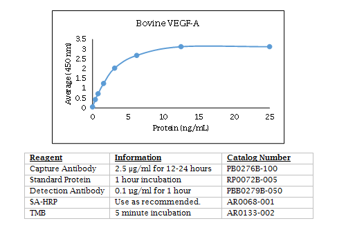 Anti-Vascular Endothelial Growth Factor-A (VEGF-A) (bovine)