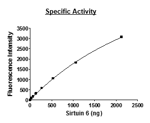 Sirtuin 6, active human recombinant protein
