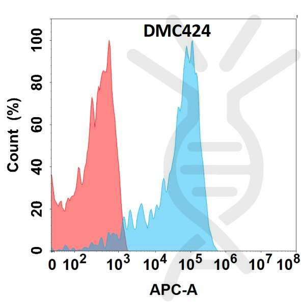 Anti-EREG antibody(DMC424), IgG1 Chimeric mAb