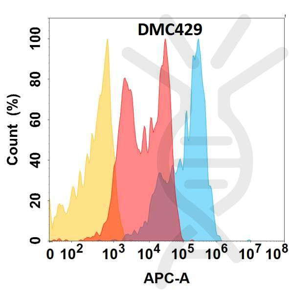 Anti-CD81 antibody(DMC429), IgG1 Chimeric mAb