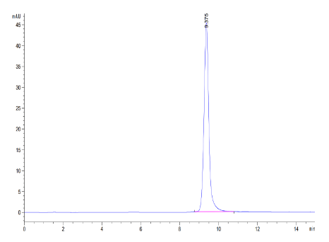 Annexin V/ANXA5, Human