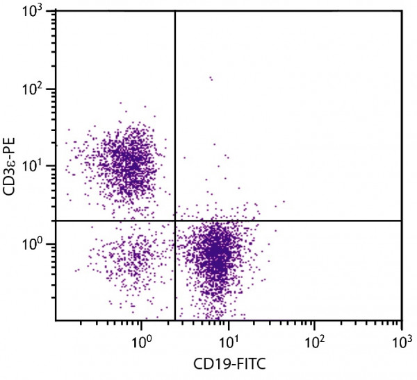 Anti-CD3, clone 145-2C11 (PE )