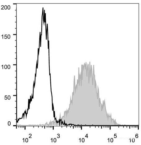 Anti-Mouse/Human CD44 (PE Conjugated)[IM7], clone IM7