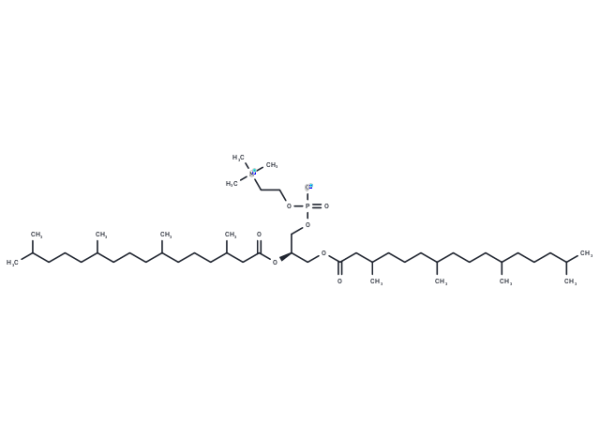 DPhPC