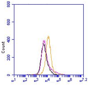 Anti-Von Willebrand Factor, Human, mAb 3E2D10