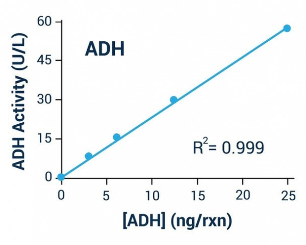 Alcohol dehydrogenase Activity Assay Kit