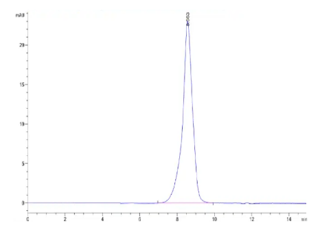 VIPR2 mFc Chimera, Human